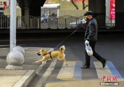 下月起，出门遛狗必须拴绳！拴绳！拴绳！