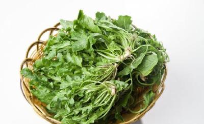 清明时节，这三种“草”很养生