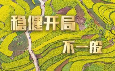 这个开局不一般！