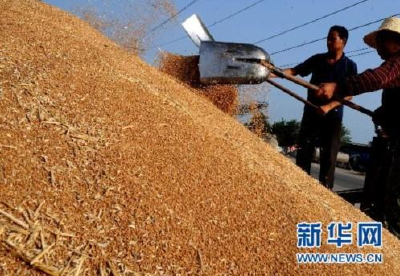 以良法促善治 为粮食安全保驾护航 