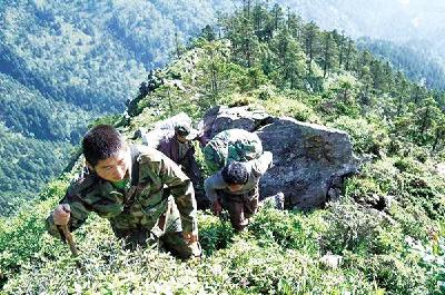 甘肃白水江自然保护区：40年构筑大熊猫保护防线