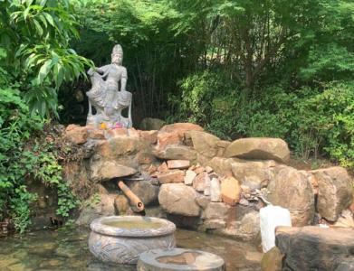 “纯天然”真的更健康？苏州网红山泉受热捧，能喝吗？