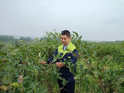 【劳模风采】茶树吐绿靓了山川茶油飘香富了老乡——记湖北香芝源绿色食品有限公司总经理付国锋