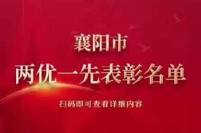 襄阳市两优一先表彰名单