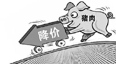 生猪价格持续下跌 多部门密集出手“稳猪价”