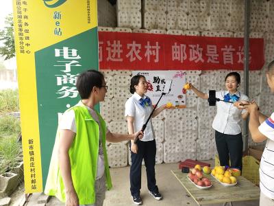 枣阳邮政分公司：为桃农直播带货  销售鲜桃28万斤