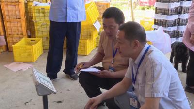 枣阳市公共检验检测中心：发挥技术优势  守卫“舌尖上”的安全