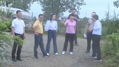 邢红丽检查防汛和山洪灾害防范工作