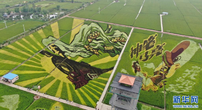 稻田画引客来 