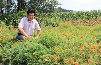 快速揪出土壤“隐形杀手”