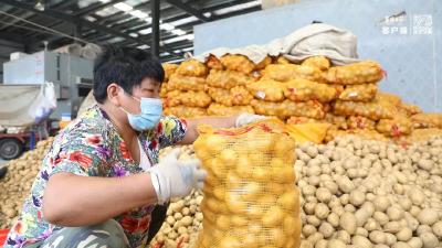 襄阳人莫慌！市场供应妥妥的！