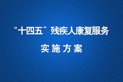 “十四五”残疾人康复服务实施方案