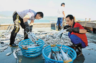 南海伏季休渔期结束 多地出台措施迎开渔 