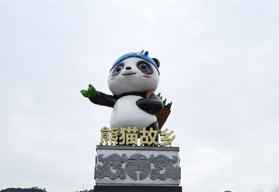 四川雅安：“大熊猫”集体“爬桥”，快来围观！