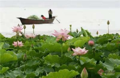 云南大理洱海：科学治湖的有力实践