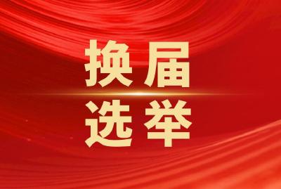 枣阳市市镇人民代表大会换届选举工作问答（二）