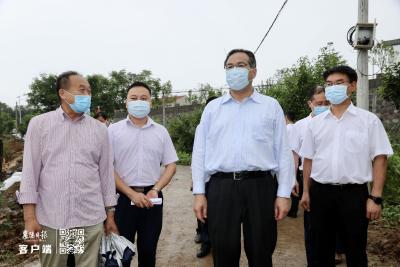 马旭明在枣阳市调研时要求 以规模化生产经营推进农业产业发展 以标准化建设促进乡村旅游提质升级