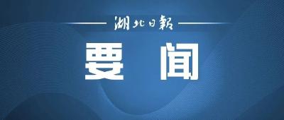 打造“轨道上的湖北”和新时代“祖国立交桥”！应勇主持召开交通建设专题会