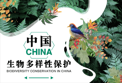 《生物多样性公约》第十五次缔约方大会筹备就绪（共建地球生命共同体）