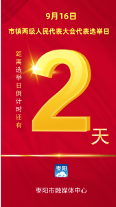 倒计时2天 | 枣阳市市镇两级人民代表大会代表选举日
