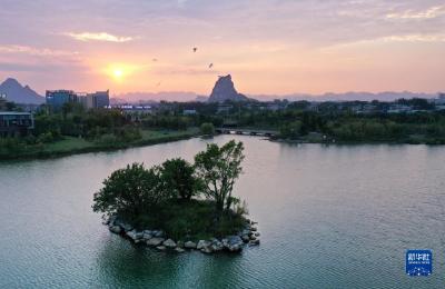 每日一景|广西柳州：水清岸绿鹭鸟来