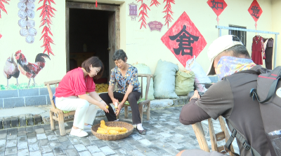 中央广播电视总台亚非中心采访团来我市开展采访活动