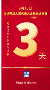 倒计时3天 | 枣阳市市镇两级人民代表大会代表选举日