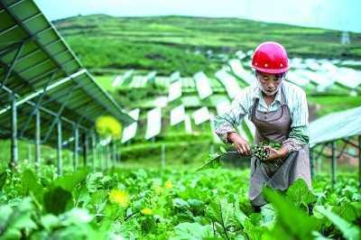 谋划碳达峰碳中和要有大格局、大思路