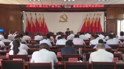 王城镇学习贯彻习近平总书记“七一”重要讲话精神