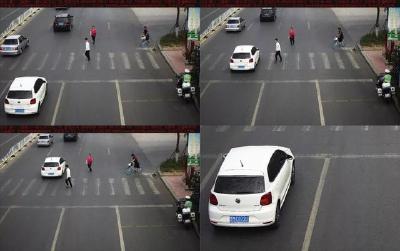 该礼让行人的不光是汽车