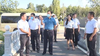 赵显富到我市调研村（社区）“两委”换届工作