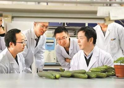 我国生物育种专利申请量排名全球第一