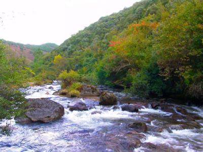 完善生态补偿，共护绿水青山