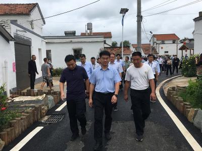 快讯 | 我市召开美丽乡村建设暨农业产业化工作推进现场会