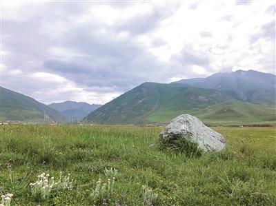 青海：加大修复力度 保护大美草原
