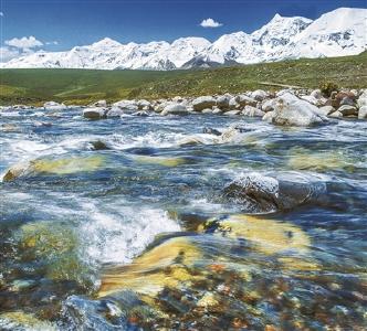 世界水獭日，你对水獭知多少？ 