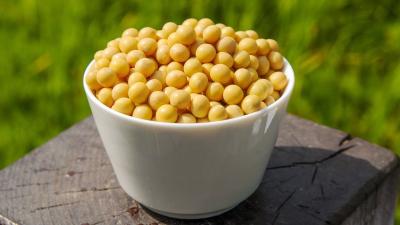我国为世界大豆精准选种“定标” 