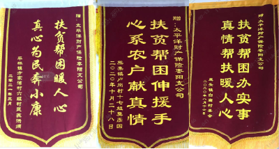 太保产险枣阳支公司助力巩固拓展脱贫攻坚成果