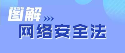 图解 | 怎样使用网络、如何安全用网？