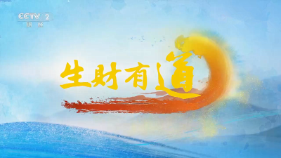 大美枣阳再上央视