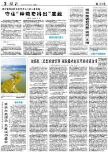 湖北襄阳市积极引导多元主体入市收购——守住“种粮卖得出”底线