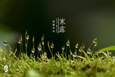 寒露，养生防病记住“三四五”