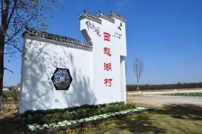 枣阳：“整”出农村新美景，“治”出村民新生活