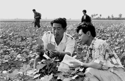 “让所有人穿暖”，离不开这位爷爷！