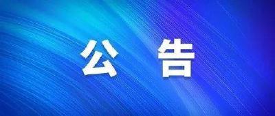 枣阳市国有资本投资运营集团有限公司 面向社会公开招聘专业技术人员公告