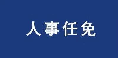 关于接受万涛同志辞去枣阳市人民政府副市长职务请求的决定