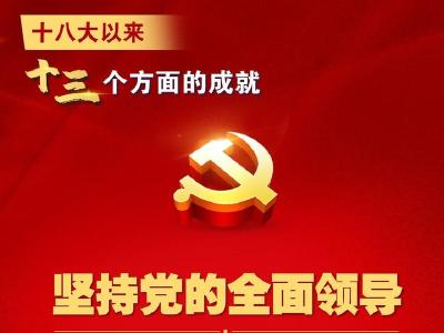 一组海报，看十八大以来十三个方面的伟大成就