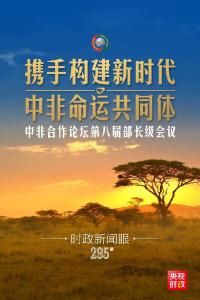 为了中非27亿人民的福祉，习近平宣布共同实施“九项工程”