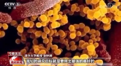 我国新冠特效药有了“时间表”