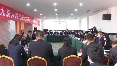 【聚焦两会】V视 | 孟艳清等领导参加太平代表团审议